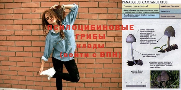 марки nbome Армянск